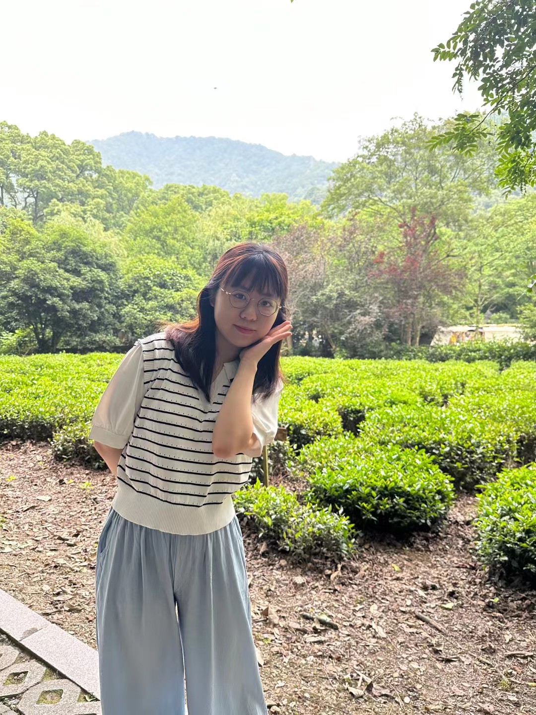 女孩在茶园留影